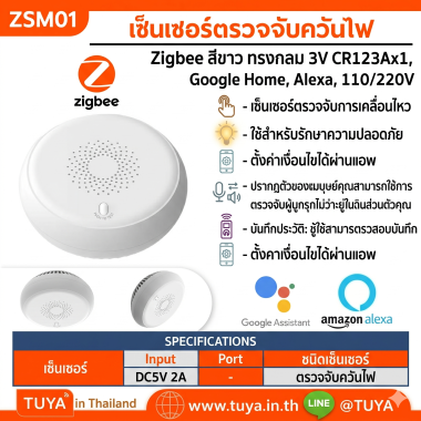 ZSM01 เซ็นเซอร์ตรวจจับควันไฟ Zigbee สีขาว ทรงกลม 3V CR123Ax1