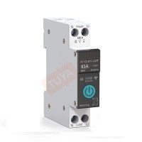 BRK-EM01 เซอร์กิตเบรคเกอร์ WIFI 63A 90-240V
