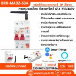 BRK-MA02-63A เซอร์กิตเบรกเกอร์ 2P สีขาว ควบคุมระยะไกล จับเวลารีเลย์ 63A 230/440V