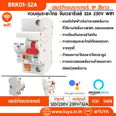 BRK01-32A เซอร์กิตเบรคเกอร์ไฟฟ้า WIFI 1สวิตซ์ 32A 230V