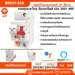 BRK01-63A เซอร์กิตเบรคเกอร์ไฟฟ้า WIFI 1สวิตซ์ 63A 230V