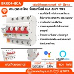 BRK04-80A เซอร์กิตเบรคเกอร์ไฟฟ้า WIFI 2.4GHZ 4สวิตซ์ สั่งงานผ่านแอปพลิเคชั่น 80A 230V