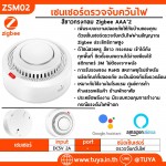 ZSM02 เซนเซอร์ตรวจจับควันไฟ สีขาวทรงกลม Zigbee AAA*2