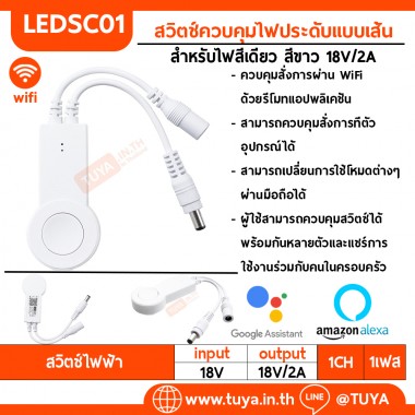 LEDSC01 สวิตช์ควบคุมไฟประดับแบบเส้น สำหรับไฟสีเดียว