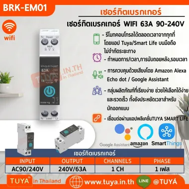 BRK-EM01 เซอร์กิตเบรคเกอร์ WIFI 63A 90-240V