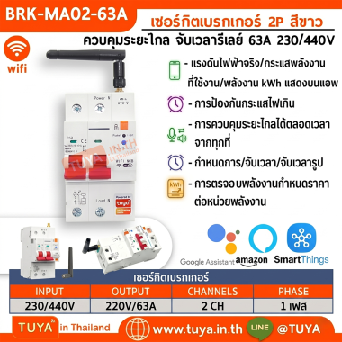 BRK-MA02-63A เซอร์กิตเบรกเกอร์ 2P สีขาว ควบคุมระยะไกล จับเวลารีเลย์ 63A 230/440V