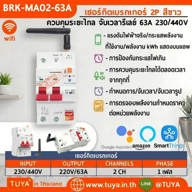 BRK-MA02-63A เซอร์กิตเบรกเกอร์ 2P สีขาว ควบคุมระยะไกล จับเวลารีเลย์ 63A 230/440V