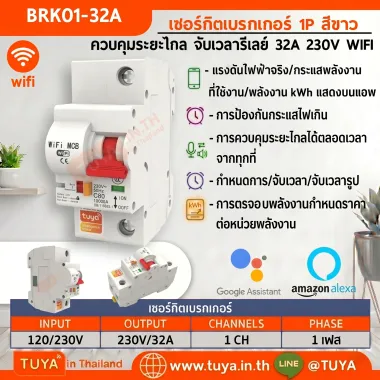 BRK01-32A เซอร์กิตเบรคเกอร์ไฟฟ้า WIFI 1สวิตซ์ 32A 230V