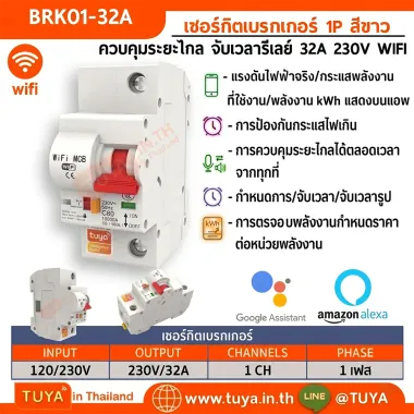 BRK01-32A เซอร์กิตเบรคเกอร์ไฟฟ้า WIFI 1สวิตซ์ 32A 230V