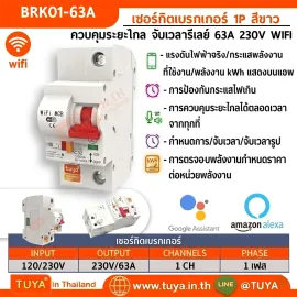 BRK01-63A เซอร์กิตเบรคเกอร์ไฟฟ้า WIFI 1สวิตซ์ 63A 230V