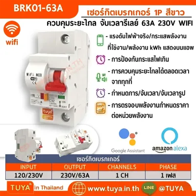 BRK01-63A เซอร์กิตเบรคเกอร์ไฟฟ้า WIFI 1สวิตซ์ 63A 230V