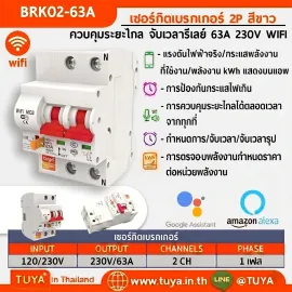 BRK02-63A เซอร์กิตเบรคเกอร์ไฟฟ้า WIFI 2.4GHZ 2สวิตซ์ สั่งงานผ่านแอปพลิเคชั่น 63A 230V