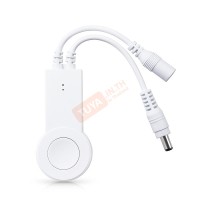 LEDSC01 สวิตช์ควบคุมไฟประดับแบบเส้น สำหรับไฟสีเดียว