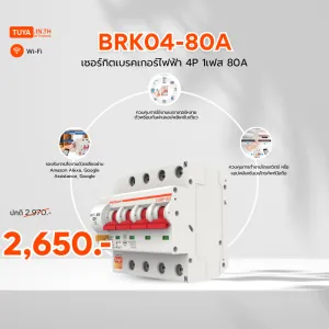 ลดกระหน่ำ! BRK04-80A เซอร์กิตเบรคเกอร์ไฟฟ้า WIFI 2.4GHZ 4สวิตซ์ 80A Clearance Sale ต้อนรับปีใหม่