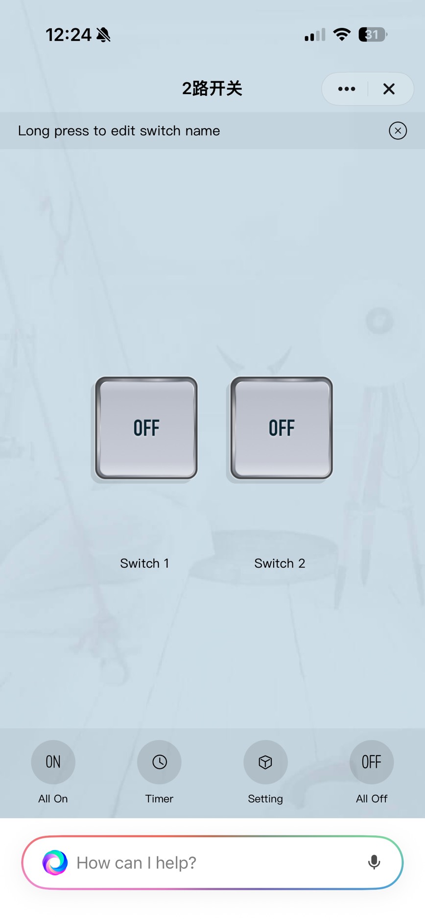 หน้าหลักของแอป 2-Gang Switch